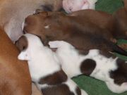 Bild 9
