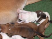 Bild 11