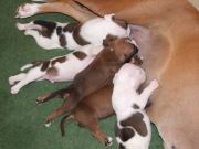 Bild 12