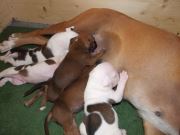 Bild 14