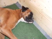 Bild 17