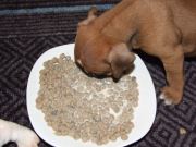 Bild 13