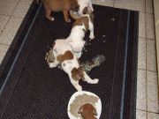 Bild 14