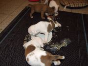 Bild 24